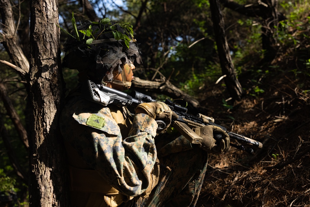 Activated Reserve Marines Patrol to a Live Fire Range during Korea Viper 25.4