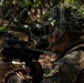 Activated Reserve Marines Patrol to a Live Fire Range during Korea Viper 25.4
