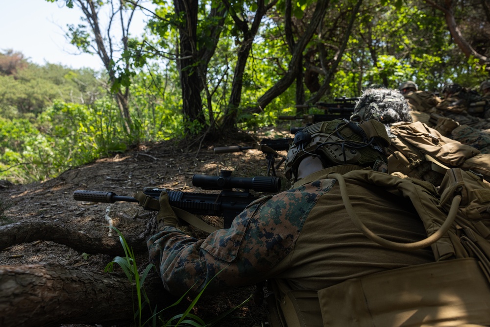 Activated Reserve Marines Patrol to a Live Fire Range during Korea Viper 25.4