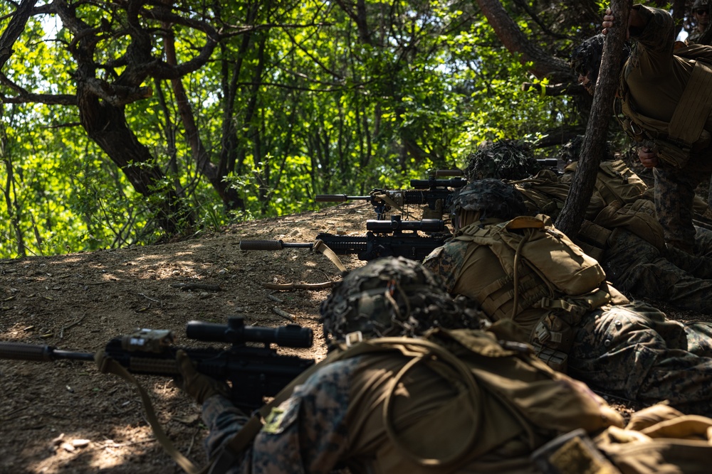 Activated Reserve Marines Patrol to a Live Fire Range during Korea Viper 25.4