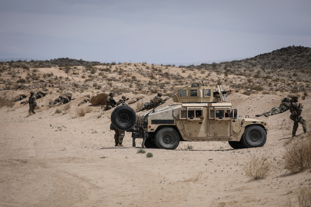 Eyes on the Perimeter