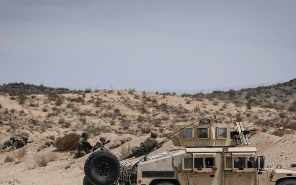 Eyes on the Perimeter