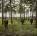 2d Combat Engineer Battalion Marine Corps Combat Readiness Evaluation - Live-Fire Range