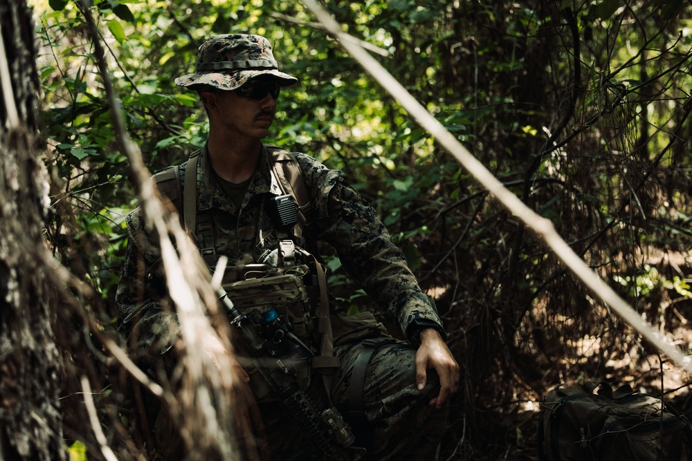 2d Combat Engineer Battalion Marine Corps Combat Readiness Evaluation - Engineer Reconnaissance
