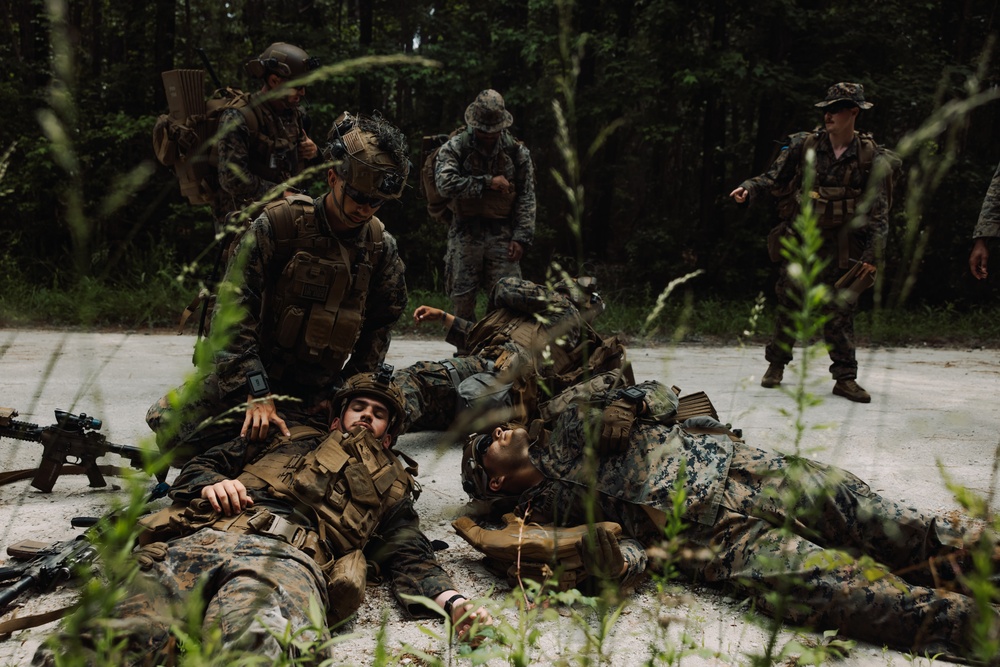 2d Combat Engineer Battalion Marine Corps Combat Readiness Evaluation - Patrol
