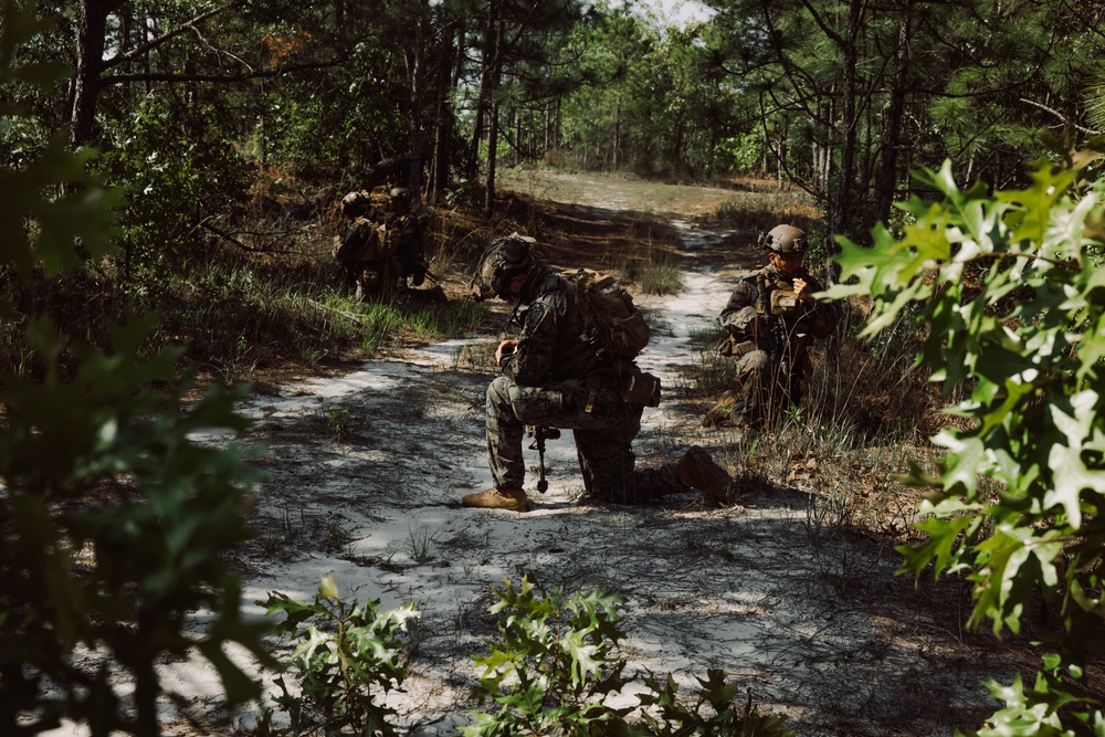 2d Combat Engineer Battalion Marine Corps Combat Readiness Evaluation - Bunker Ambush