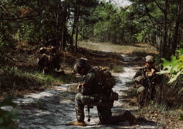 2d Combat Engineer Battalion Marine Corps Combat Readiness Evaluation - Bunker Ambush