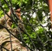 2025 Eighth Army Best Squad Competition Obstacle Course