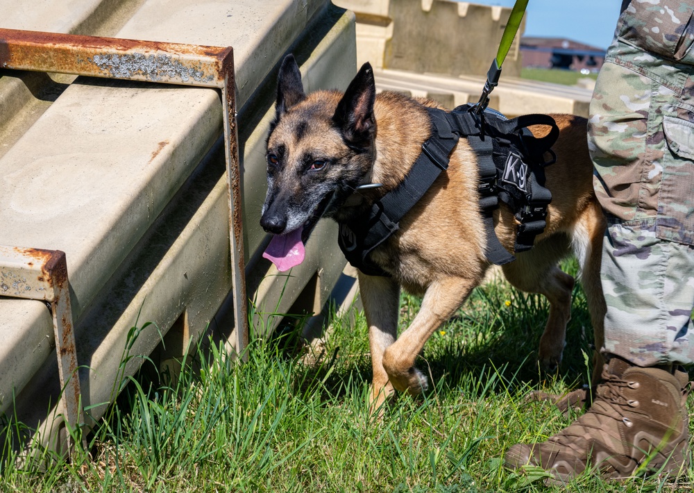 Day in the life: 100th ARW command team integrates with 100th SFS military working dogs