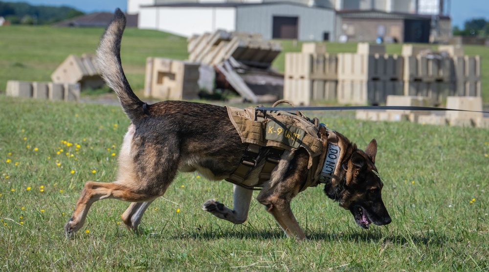 Day in the life: 100th ARW command team integrates with 100th SFS military working dogs