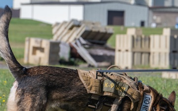 Day in the life: 100th ARW command team integrates with 100th SFS military working dogs