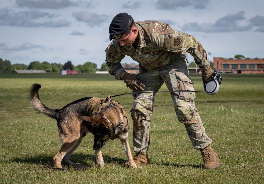 Day in the life: 100th ARW command team integrates with 100th SFS military working dogs