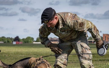 Day in the life: 100th ARW command team integrates with 100th SFS military working dogs