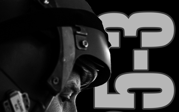 23rd EBS conduct BTF Europe