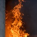 Firefighting Cross training between 424th ABS, Belgians &amp; Students