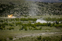 Vermont participates in Combined Arms Live-Fire Exercise during Immediate Response 25 with NATO Allies and Partners.. [Image 1 of 3]