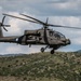 U.S. Army Vermont National Guard Infantry Battalion Proves Lethal Readiness with NATO Allies during Immediate Response 25 as a part of DEFENDER 25