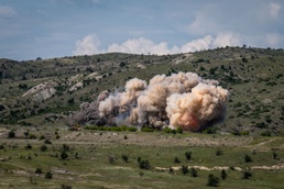U.S. Army Vermont National Guard Infantry Battalion Proves Lethal Readiness with NATO Allies during Immediate Response 25 as a part of DEFENDER 25
