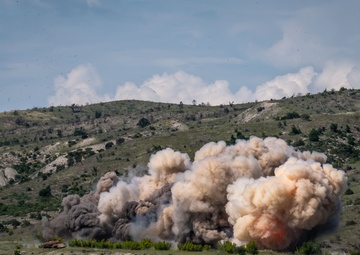 U.S. Army Vermont National Guard Infantry Battalion Proves Lethal Readiness with NATO Allies during Immediate Response 25 as a part of DEFENDER 25