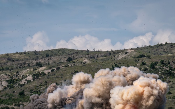 U.S. Army Vermont National Guard Infantry Battalion Proves Lethal Readiness with NATO Allies during Immediate Response 25 as a part of DEFENDER 25