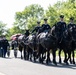 Full Military Funeral Honors with Escort are Conducted for U.S. Army Air Force Pvt. Bernard Curran in Section 62