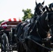 Full Military Funeral Honors with Escort are Conducted for U.S. Army Air Force Pvt. Bernard Curran in Section 62