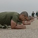 Initial Strength Assessment