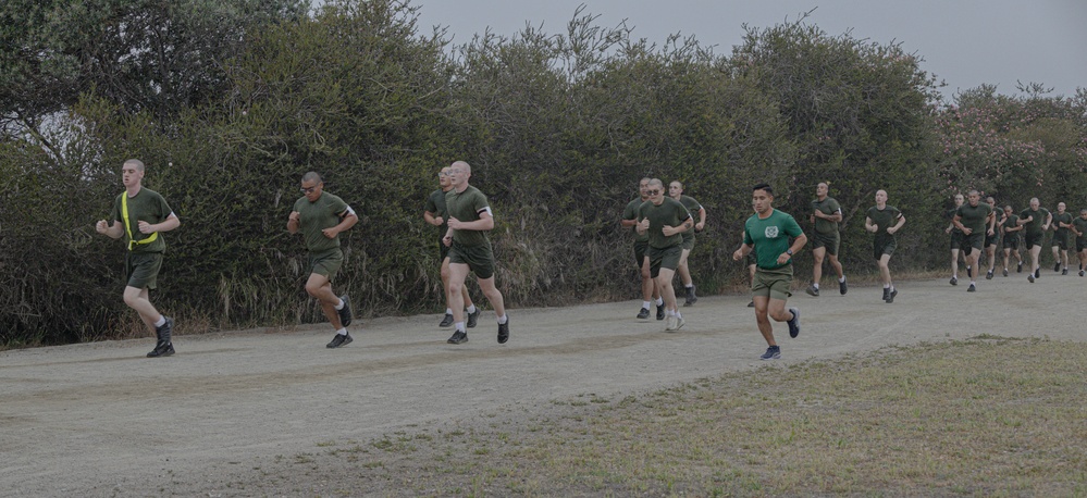 Initial Strength Assessment