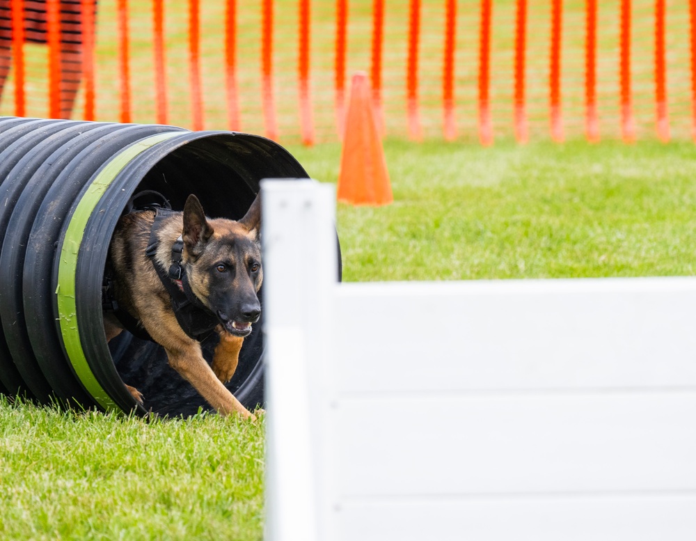 Police dogs join in National Police Week Competition.