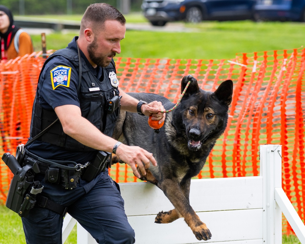 Police dogs join in National Police Week Competition.