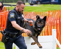 Police dogs join in National Police Week Competition. [Image 4 of 7]