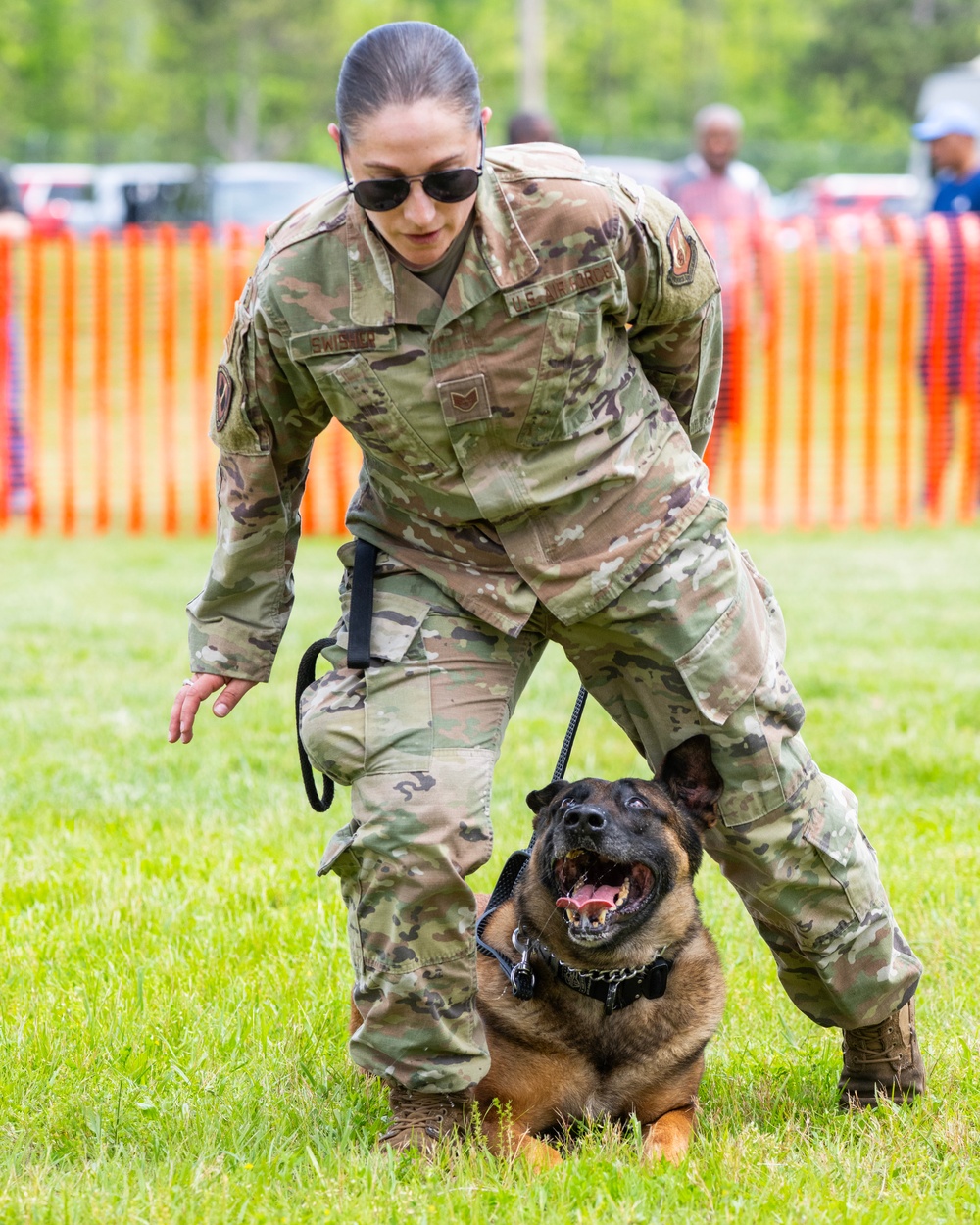 Police dogs join in National Police Week Competition.