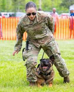 Police dogs join in National Police Week Competition. [Image 7 of 7]