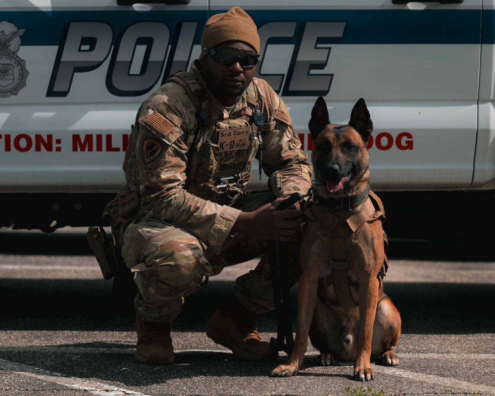 Military working dog obedience competition