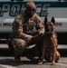 Military working dog obedience competition
