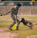 Military working dog obedience competition