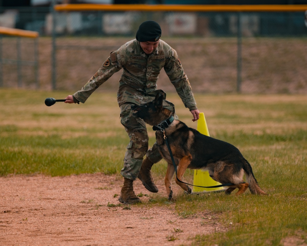 Military working dog obedience competition