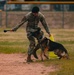 Military working dog obedience competition