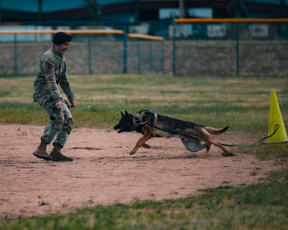 Military working dog obedience competition