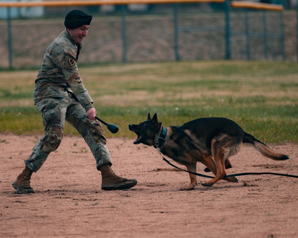 Military working dog obedience competition