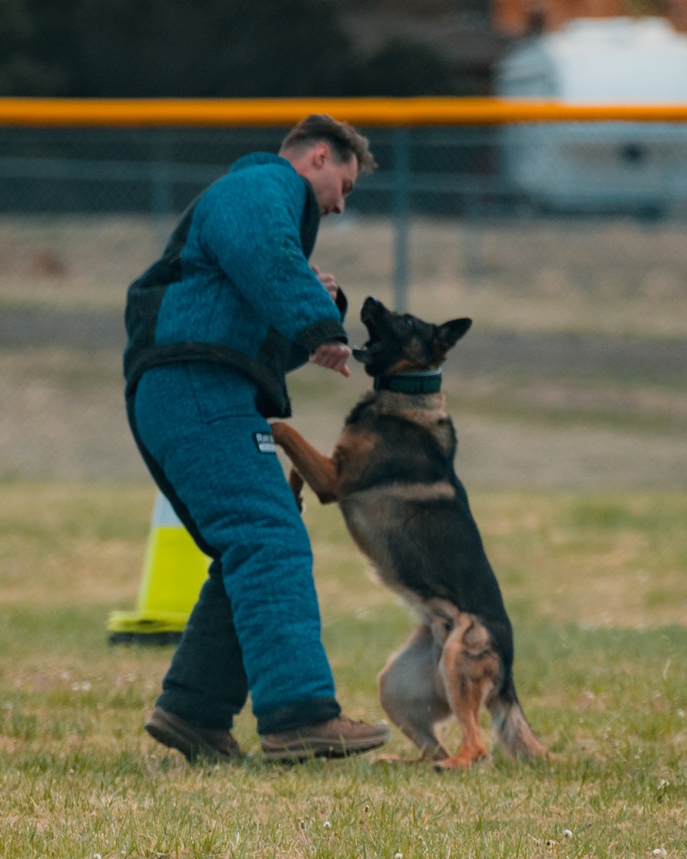 Military working dog obedience competition
