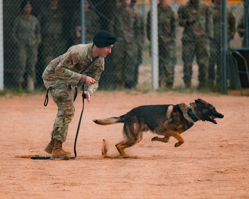Military working dog obedience competition