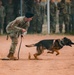 Military working dog obedience competition