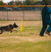 Military working dog obedience competition