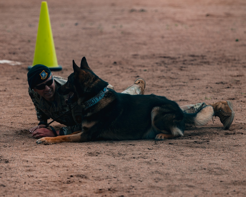 Military working dog obedience competition