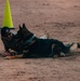 Military working dog obedience competition