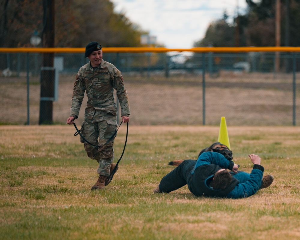 Military working dog obedience competition