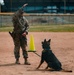 Military working dog obedience competition