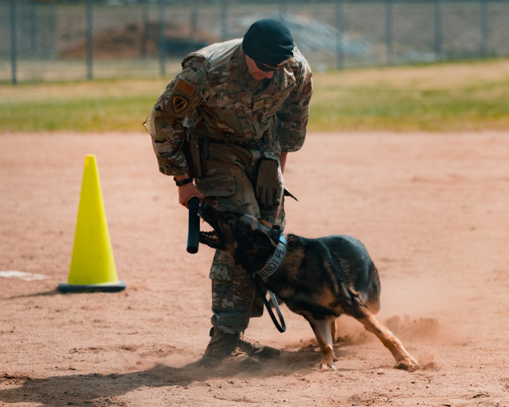 Military working dog obedience competition