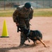 Military working dog obedience competition